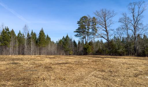 Photo #49 of Off Scott Rd, Semora, NC 69.0 acres