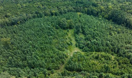 Photo #52 of Off Scott Rd, Semora, NC 69.0 acres