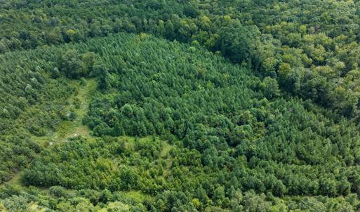 Photo #54 of Off Scott Rd, Semora, NC 69.0 acres