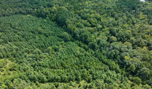 Photo #56 of Off Scott Rd, Semora, NC 69.0 acres