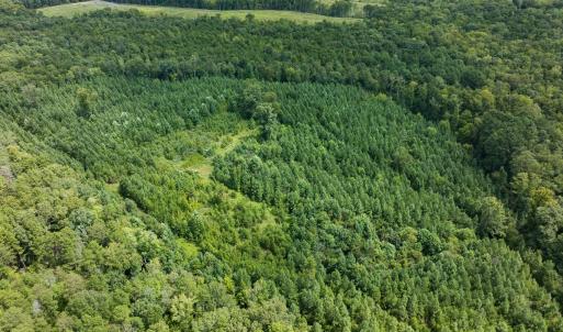 Photo #58 of Off Scott Rd, Semora, NC 69.0 acres