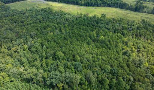 Photo #68 of Off Scott Rd, Semora, NC 69.0 acres