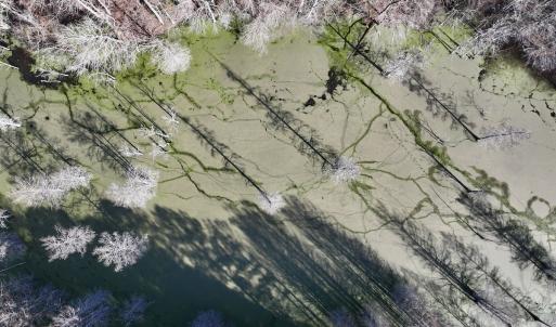 Photo #12 of Off Fork Rd, Tyner, NC 27.0 acres