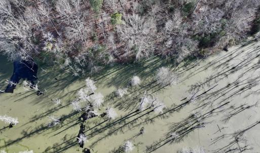 Photo #13 of Off Fork Rd, Tyner, NC 27.0 acres