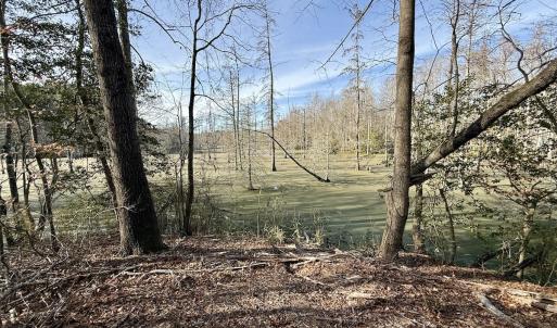 Photo #14 of Off Fork Rd, Tyner, NC 27.0 acres