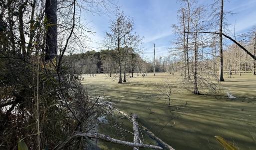 Photo #16 of Off Fork Rd, Tyner, NC 27.0 acres