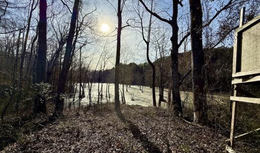 Photo #17 of Off Fork Rd, Tyner, NC 27.0 acres