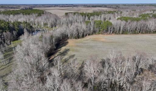 Photo #18 of Off Fork Rd, Tyner, NC 27.0 acres