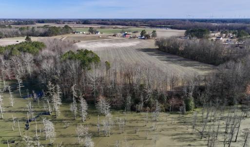 Photo #7 of Off Fork Rd, Tyner, NC 27.0 acres