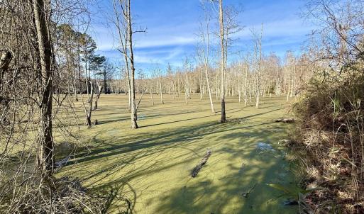 Photo #8 of Off Fork Rd, Tyner, NC 27.0 acres