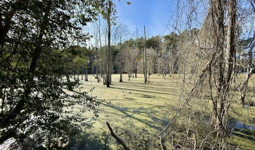 Photo #9 of Off Fork Rd, Tyner, NC 27.0 acres