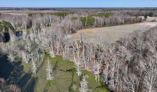 Photo #11 of Off Fork Rd, Tyner, NC 27.0 acres