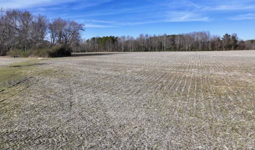 Photo #21 of Off Fork Rd, Tyner, NC 27.0 acres