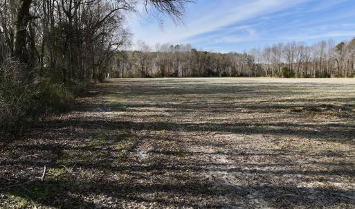 Photo #23 of Off Fork Rd, Tyner, NC 27.0 acres