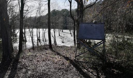 Photo #24 of Off Fork Rd, Tyner, NC 27.0 acres