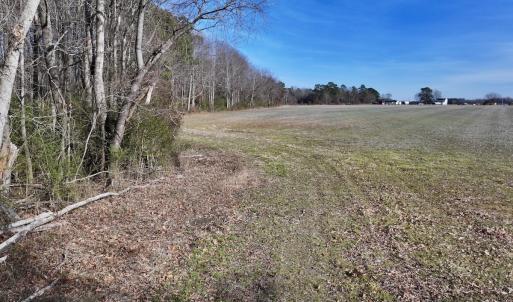 Photo #26 of Off Fork Rd, Tyner, NC 27.0 acres