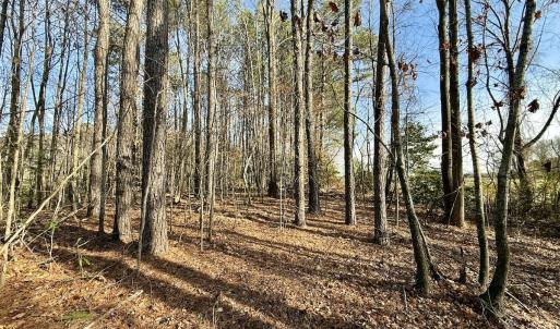 Photo #32 of Off Fork Rd, Tyner, NC 27.0 acres