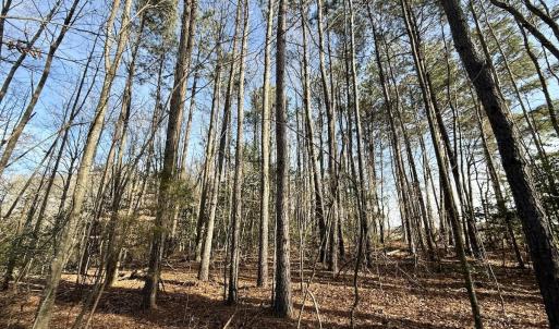 Photo #34 of Off Fork Rd, Tyner, NC 27.0 acres