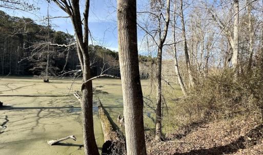 Photo #36 of Off Fork Rd, Tyner, NC 27.0 acres