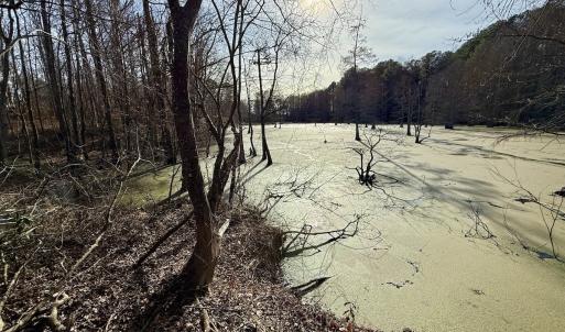 Photo #37 of Off Fork Rd, Tyner, NC 27.0 acres