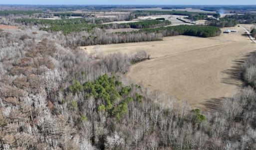 Photo #12 of 431 Icaria Rd, Tyner, NC 72.0 acres