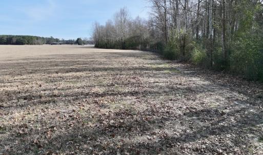 Photo #14 of 431 Icaria Rd, Tyner, NC 72.0 acres