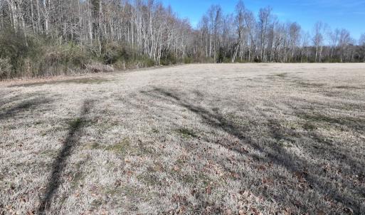 Photo #15 of 431 Icaria Rd, Tyner, NC 72.0 acres