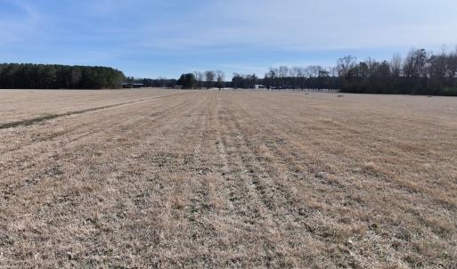Photo #17 of 431 Icaria Rd, Tyner, NC 72.0 acres