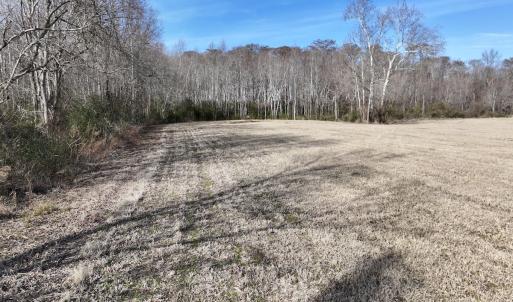 Photo #18 of 431 Icaria Rd, Tyner, NC 72.0 acres