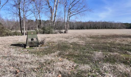 Photo #19 of 431 Icaria Rd, Tyner, NC 72.0 acres