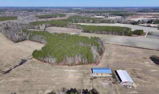 Photo #2 of 431 Icaria Rd, Tyner, NC 72.0 acres