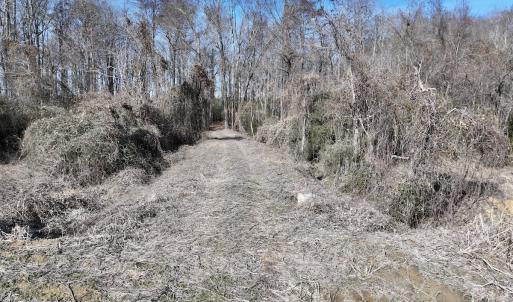 Photo #21 of 431 Icaria Rd, Tyner, NC 72.0 acres