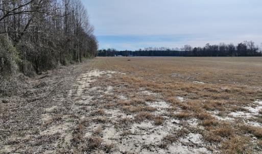 Photo #22 of 431 Icaria Rd, Tyner, NC 72.0 acres