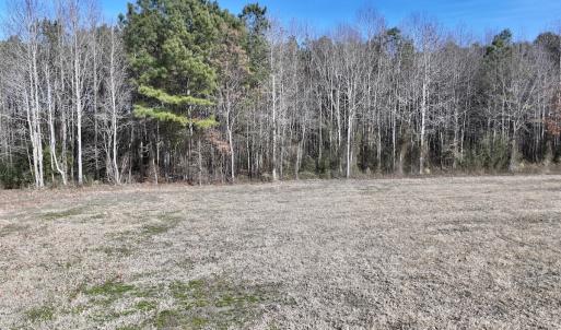 Photo #24 of 431 Icaria Rd, Tyner, NC 72.0 acres