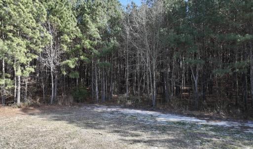 Photo #26 of 431 Icaria Rd, Tyner, NC 72.0 acres