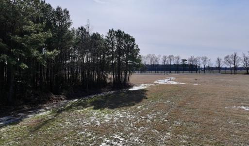 Photo #27 of 431 Icaria Rd, Tyner, NC 72.0 acres