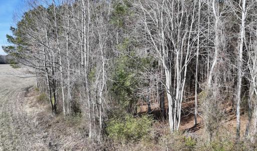 Photo #28 of 431 Icaria Rd, Tyner, NC 72.0 acres