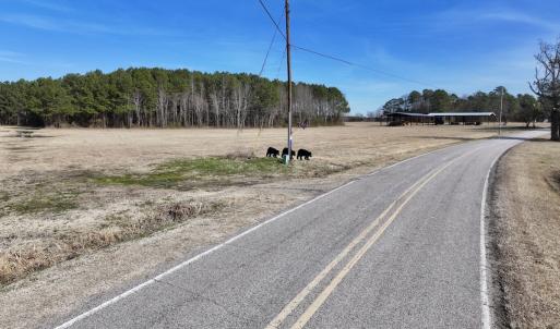 Photo #36 of 431 Icaria Rd, Tyner, NC 72.0 acres