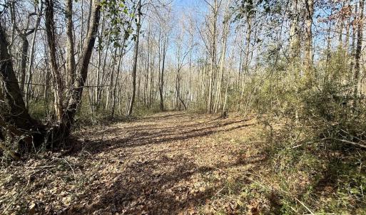 Photo #38 of 431 Icaria Rd, Tyner, NC 72.0 acres