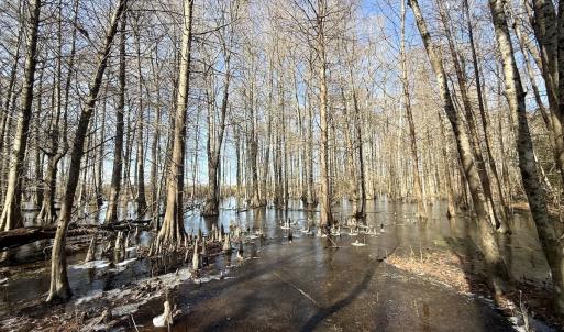 Photo #40 of 431 Icaria Rd, Tyner, NC 72.0 acres