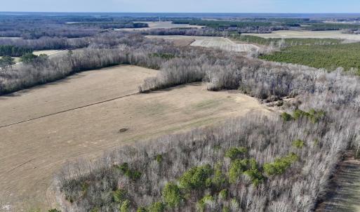 Photo #7 of 431 Icaria Rd, Tyner, NC 72.0 acres