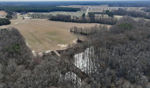 Photo #8 of 431 Icaria Rd, Tyner, NC 72.0 acres