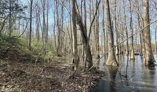 Photo #42 of 431 Icaria Rd, Tyner, NC 72.0 acres