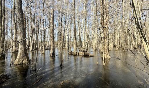 Photo #43 of 431 Icaria Rd, Tyner, NC 72.0 acres