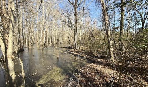 Photo #44 of 431 Icaria Rd, Tyner, NC 72.0 acres