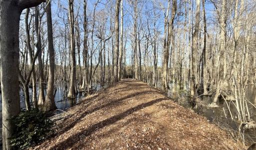 Photo #45 of 431 Icaria Rd, Tyner, NC 72.0 acres