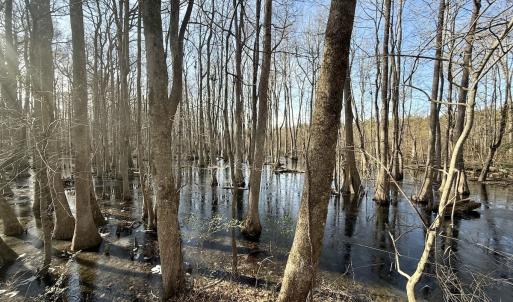 Photo #46 of 431 Icaria Rd, Tyner, NC 72.0 acres