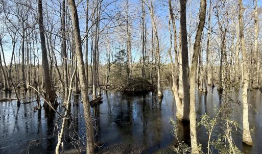 Photo #47 of 431 Icaria Rd, Tyner, NC 72.0 acres