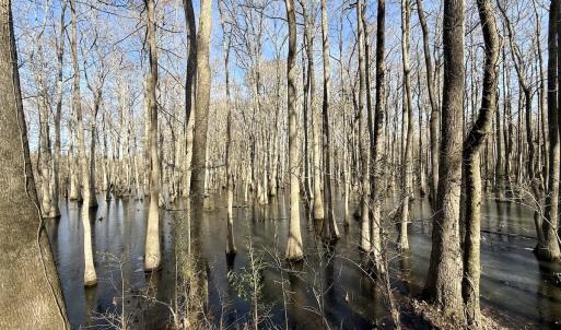 Photo #48 of 431 Icaria Rd, Tyner, NC 72.0 acres