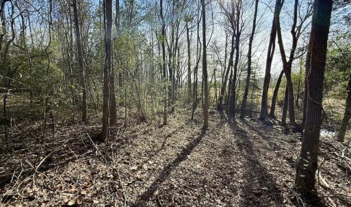 Photo #50 of 431 Icaria Rd, Tyner, NC 72.0 acres